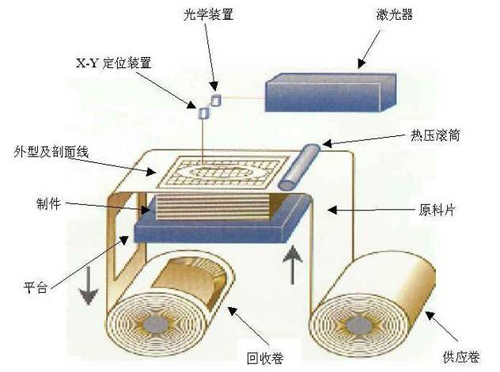 中报]金橙子(688291)：2024年半年度报告